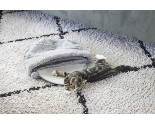 Katze liegt auf einem Teppich neben einem Katzenbett