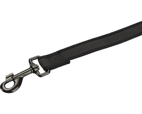 Hundeleine mit Karabinerhaken