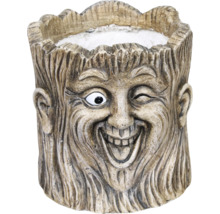 Blumentopf in Form eines Baumgesichts mit grinsendem Ausdruck