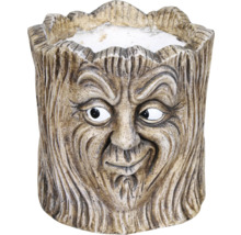 Blumentopf Baumgesicht Design