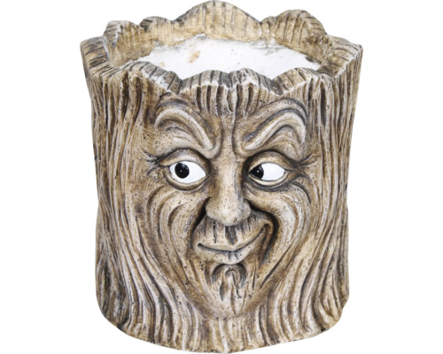 Blumentopf Baumgesicht Design