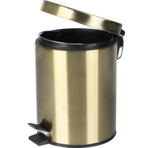 Treteimer aus Metall mit offenem Deckel