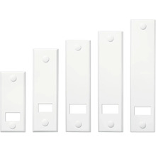 Fünf Aktenordner in verschiedenen Größen für Bürobedarf