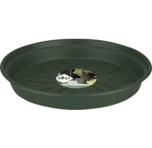 Dunkelgrüner Untersetzer für Blumentöpfe