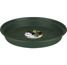 Kunststoff Untersetzer für Blumentöpfe