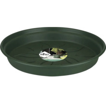 Blumenuntersetzer aus Kunststoff