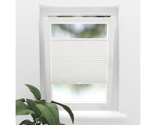 Fenster mit weißem Plissee-Rollo und Zimmerpflanze