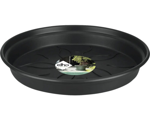 Pflanzenuntersetzer aus Kunststoff