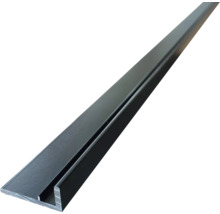 Kunststoff T-Profilleiste