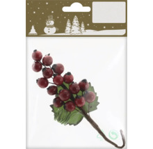 Dekorative Beerenattrappe mit Blättern in Verpackung