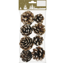 Dekorative Tannenzapfen mit Schnee-Effekt in Verpackung