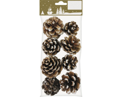 Dekorative Tannenzapfen mit Schnee-Effekt in Verpackung