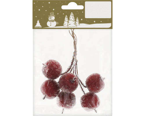 Dekorative Beeren in Verpackung für Weihnachtsdekoration