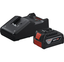 Bosch Logo Ladegerät und 18 Volt Akku