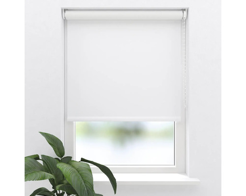 Weißes Rollo am Fenster mit seitlichem Kettenzug