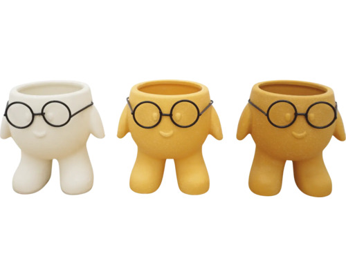 Drei Blumentöpfe mit Brillendesign