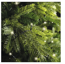 Nahaufnahme eines Weihnachtsbaums mit Lichterkette