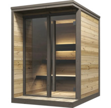 Moderne Sauna aus Holz mit Flachdach, großer Glasfront und Innenbeleuchtung.
