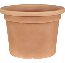 Pflanztopf aus Terrakotta
