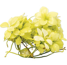 Künstliche Wasserpflanze mit hellen Blättern für Aquarien