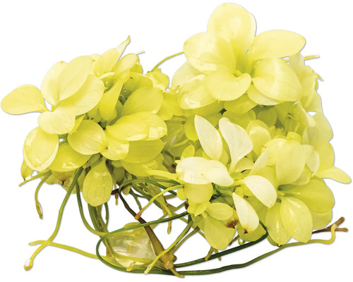 Künstliche Wasserpflanze mit hellen Blättern für Aquarien