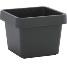 Quadratischer Pflanztopf für den Innenbereich