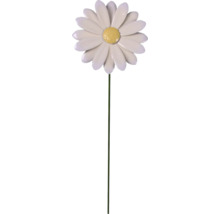 Dekorative Gartenstecker-Margerite mit Stiel