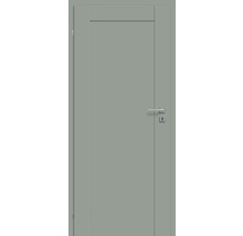 Graue Innentür mit Beschlägen