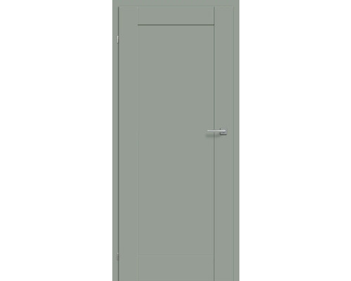 Graue Innentür mit Türgriff