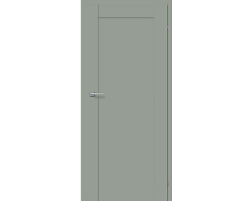 Graue Innentür mit Türgriff