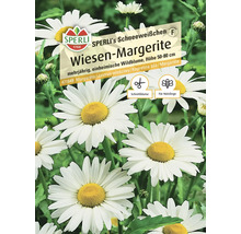 Samenpackung Wiesen-Margerite