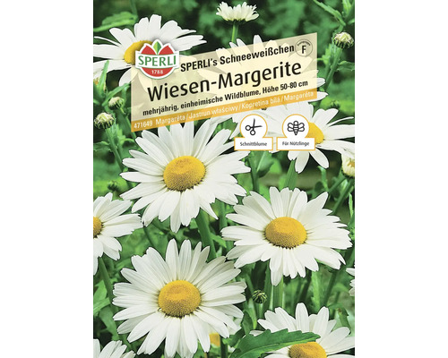 Samenpackung Wiesen-Margerite