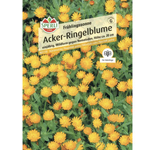 Samenpackung Acker Ringelblume, einjährig, Wildform gegen Nematoden, Höhe circa 20 cm