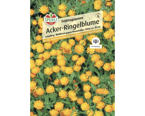 Acker-Ringelblume Frühlingssonne Sperli Samenfestes Saatgut Blumensamen Samenpackung Acker Ringelblume, einjährig, Wildform gegen Nematoden, Höhe circa 20 cm