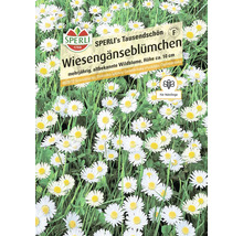 Samenpackung mit Wiesengänseblümchen von Sperli