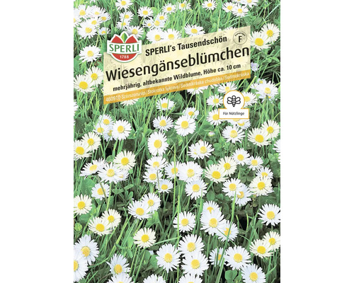Samenpackung mit Wiesengänseblümchen von Sperli