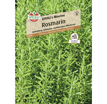 Sperli's Meertau Rosmarin-Samenpackung