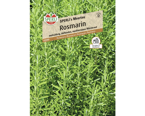 Sperli's Meertau Rosmarin-Samenpackung
