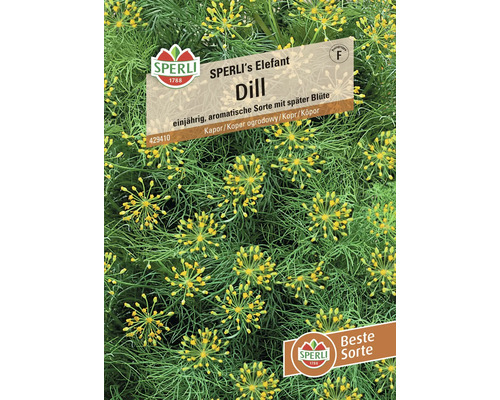 Samenpackung Dill der Marke Sperli