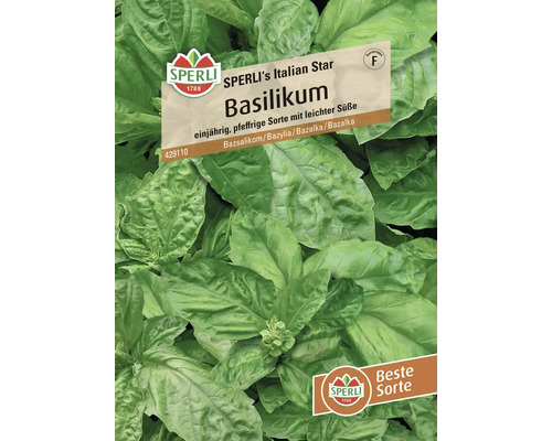 Basilikum SPERLI's Italian Star Sperli Samenfestes Saatgut Kräutersamen Samenpackung Basilikum der Marke Sperli