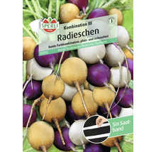 Sperli Radieschen Kombination III Saatband, 5 Meter