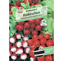 Sperli Radieschen Kombination II Saatband, Kombination aus drei Sorten