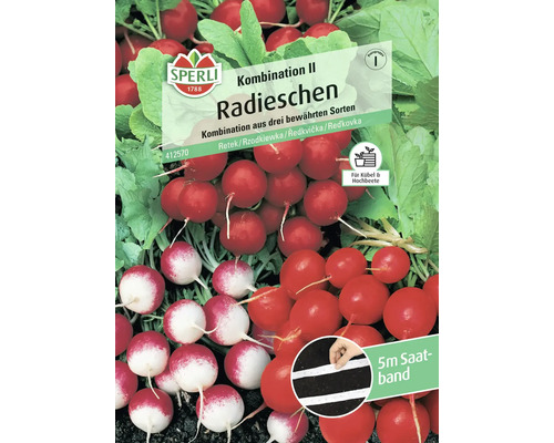 Sperli Radieschen Kombination II Saatband, Kombination aus drei Sorten