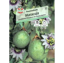 Sperli Logo. Passionsfrucht Maracuja, eine reichblühende Kübelpflanze mit essbaren Früchten. Das Symbol Rankpflanze und das Symbol Gewächshaus geeignet sind abgebildet.