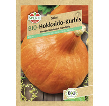 Sperli Bio Hokkaido Kürbis Solor Samenpackung
