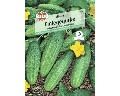 Sperli Einlegegurken Samenpackung