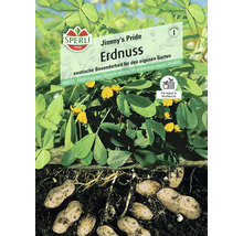 Sperli Erdnuss-Samenpackung der Sorte Jimmy's Pride für den eigenen Garten