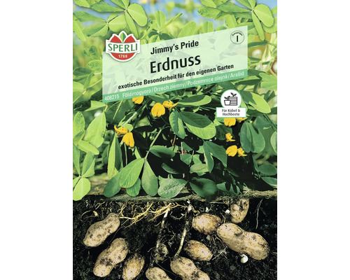 Erdnuss Jimmy's Pride Sperli Samenfestes Saatgut Gemüsesamen Sperli Erdnuss-Samenpackung der Sorte Jimmy's Pride für den eigenen Garten