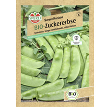 Samenpackung Bio Zuckererbse