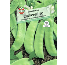 Sperli Zuckererbse Sweet Horizon Samen